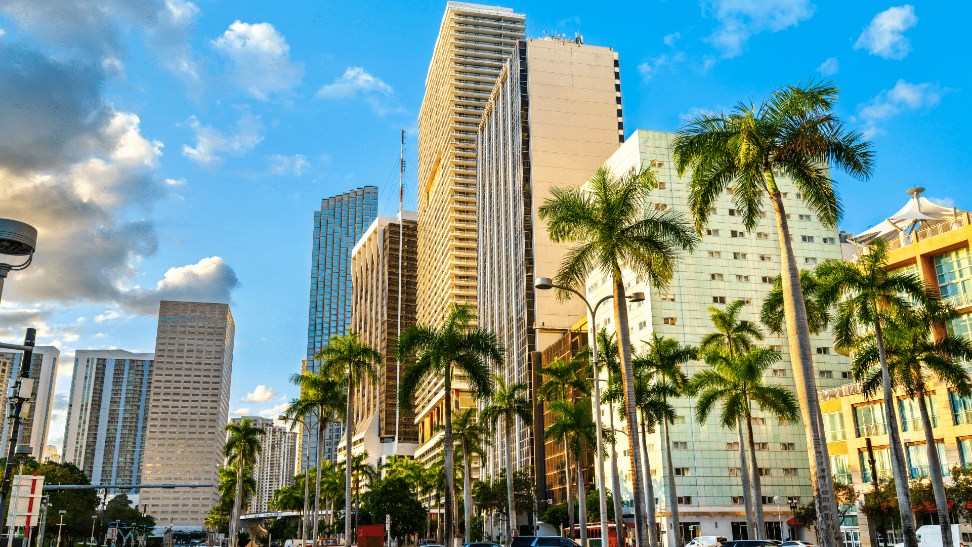 Bienvenido a la oportunidad de inversión que estabas buscando.